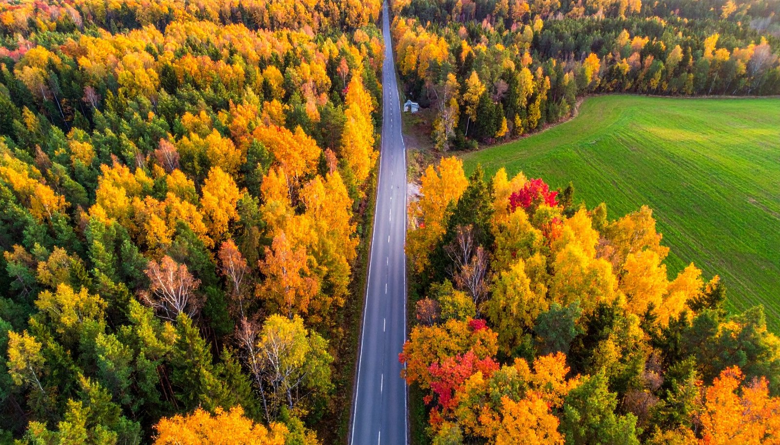 Multi-Day Ontario Tour Itineraries by Charter Bus — Planning a Trip That Runs for Three Days