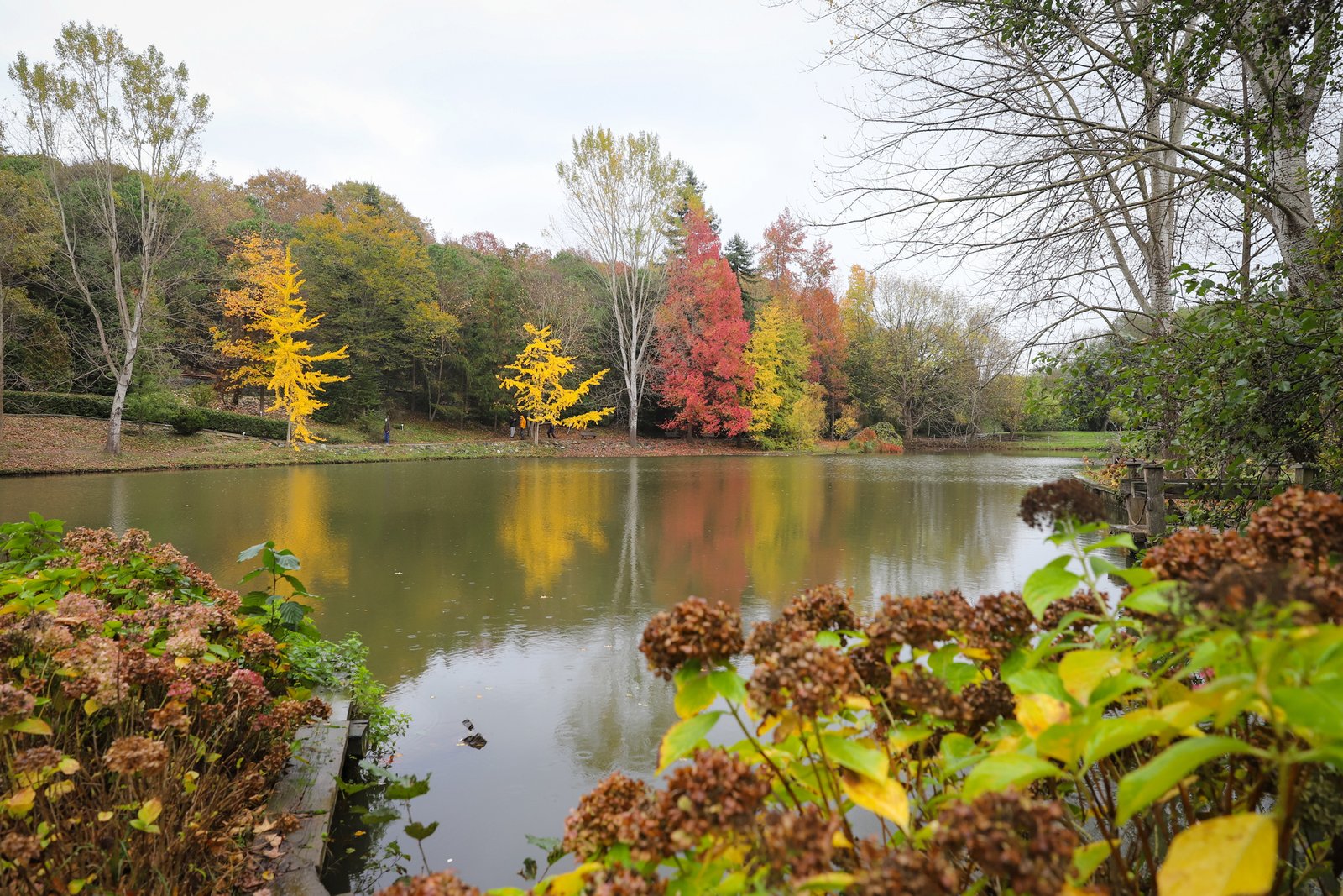 St. Jacobs, Elora and Mennonite Country — A Group Day Trip Through Waterloo Region