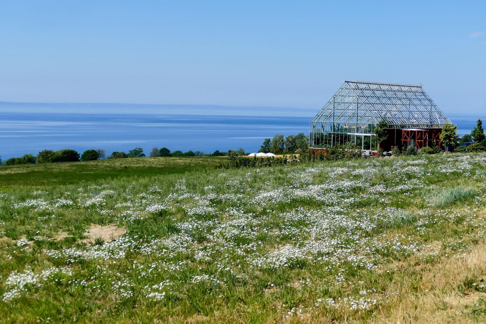 Prince Edward County Day Trip by Group Bus from Toronto
